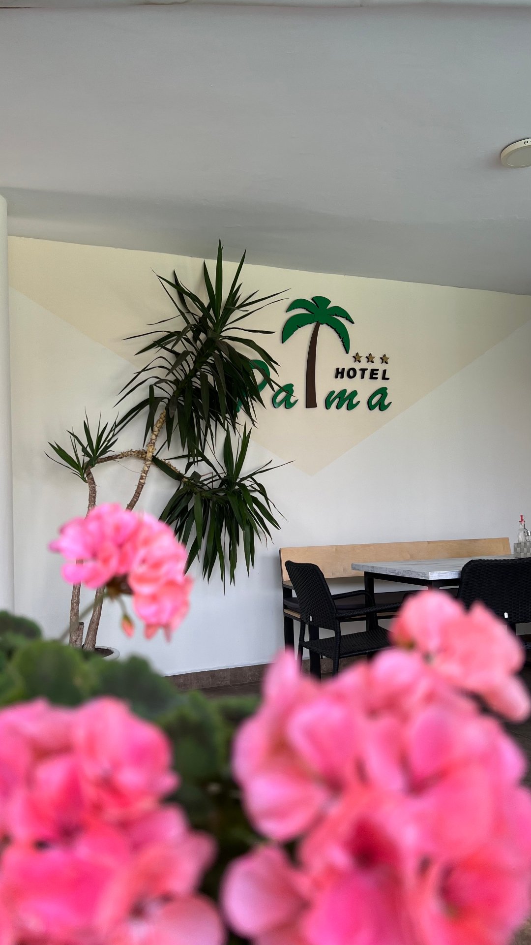 Лого в лобито на хотела